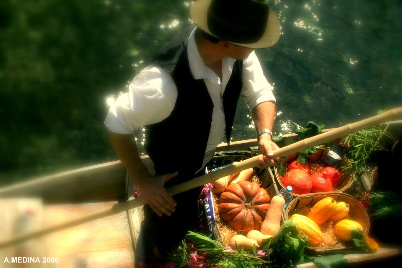 L'Isle-sur-la-Sorgue 