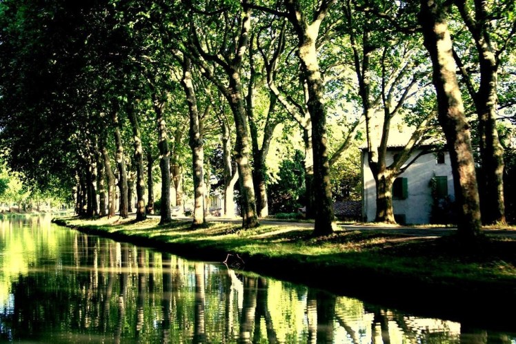 Canal du Midi (Carcasona) FRANCIA