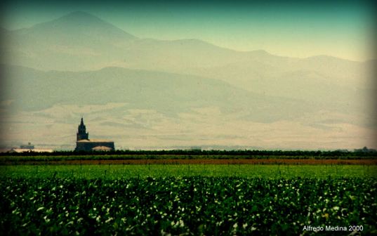 Paisaje de la Rioja Alta (La Rioja) ESPAÑA