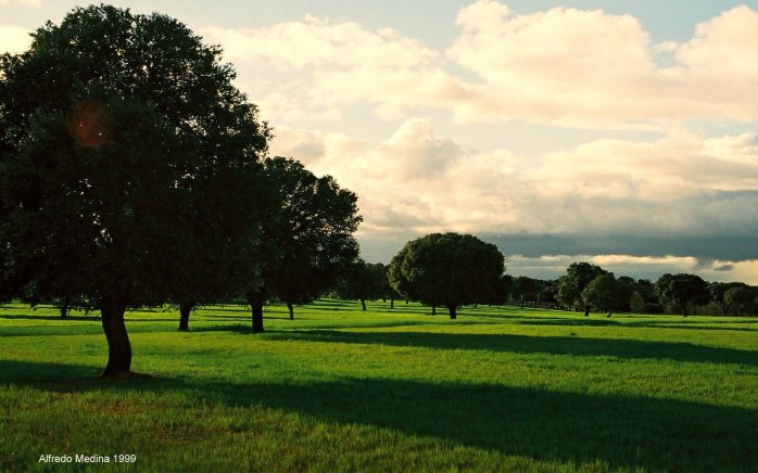 Campo de Yeltes (Salamanca) ESPAÑA