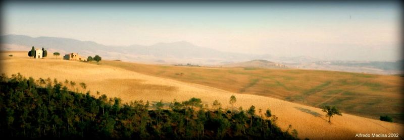 Paisaje del Valle del Orcia (Toscana) ITALIA