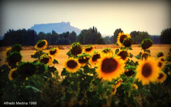 PARA FIRMsuper-ret-150311150639_0001