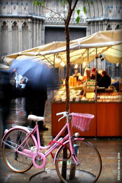 Plaza del Pí (Barcelona) Cataluña. ESPAÑA